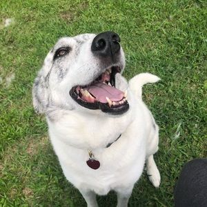 Meet your Posher, Elissa